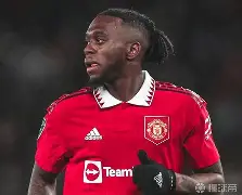 0809赛季英超盘路总结