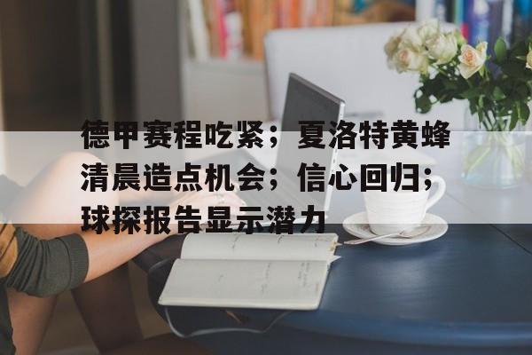 包含德甲赛程吃紧；夏洛特黄蜂清晨造点机会；信心回归；球探报告显示潜力的词条